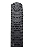 Pneu Maxxis Rekon Race 29x2.25 - Par